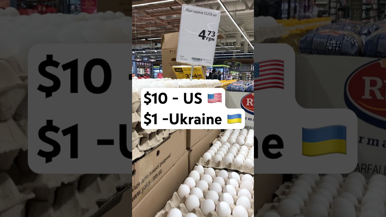 Egg Prices so expensive! The USA 🇺🇸 can buy eggs in Ukraine 🇺🇦  #egg #price