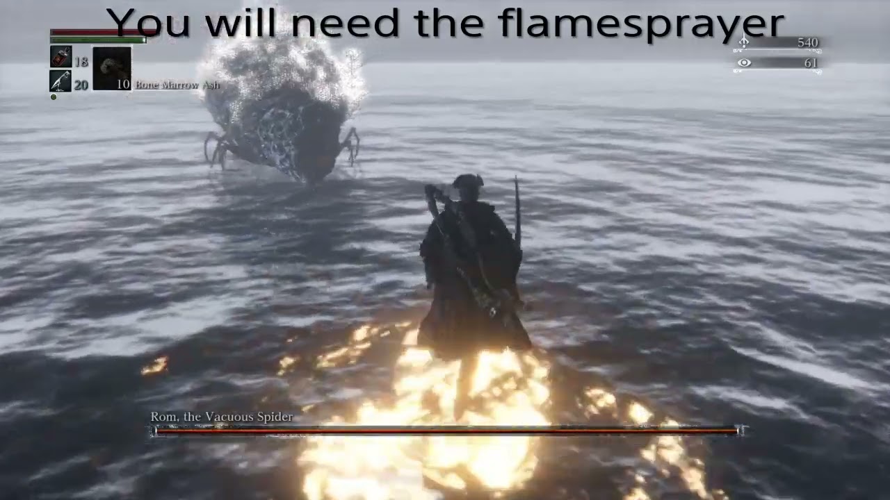 How to cheese Rom, the Vacuous Spider (Bloodborne)