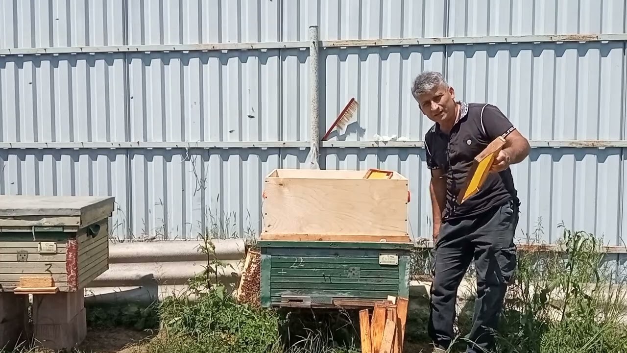 Yatıq pətəklərə ikinci gövdənin (mərtəbə) qoyulması və arıları yuxarı mərtəbəyə cəlb etmək.