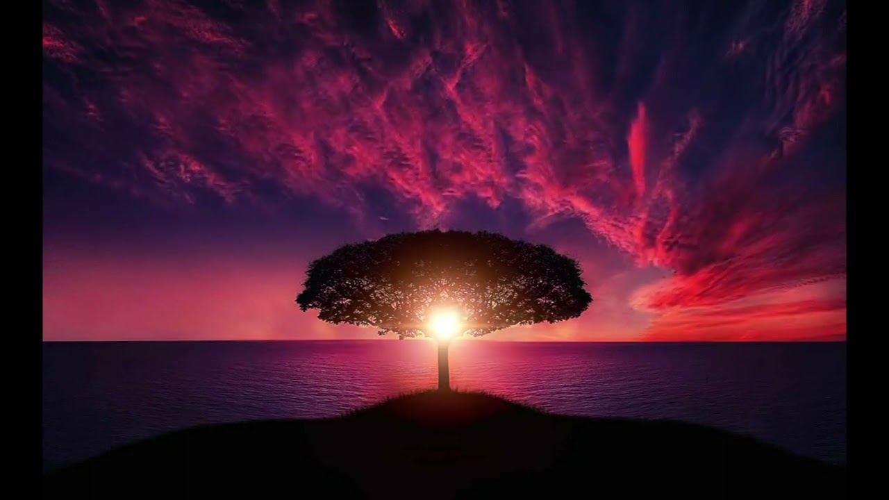 Born Again