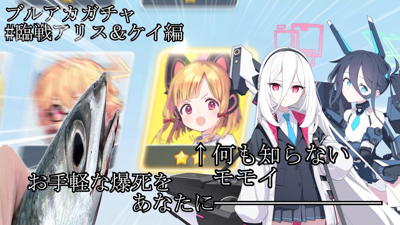 [ブルアカ]鯖さんは5周年も変わらぬ爆死をお届けして参ります[ガチャ]