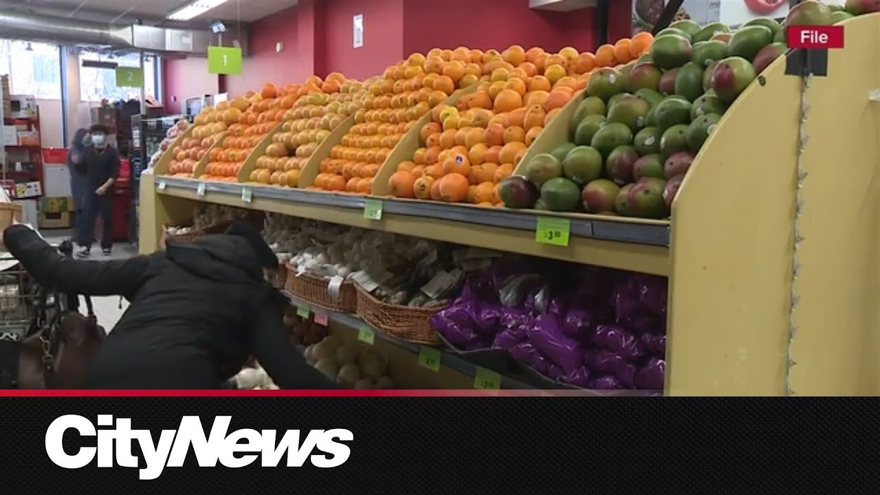 Could city-run grocery stores be the answer to food insecurity in Toronto?