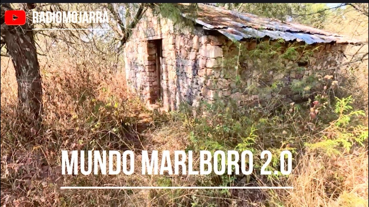 Las cabañas más bonitas del Rucio 