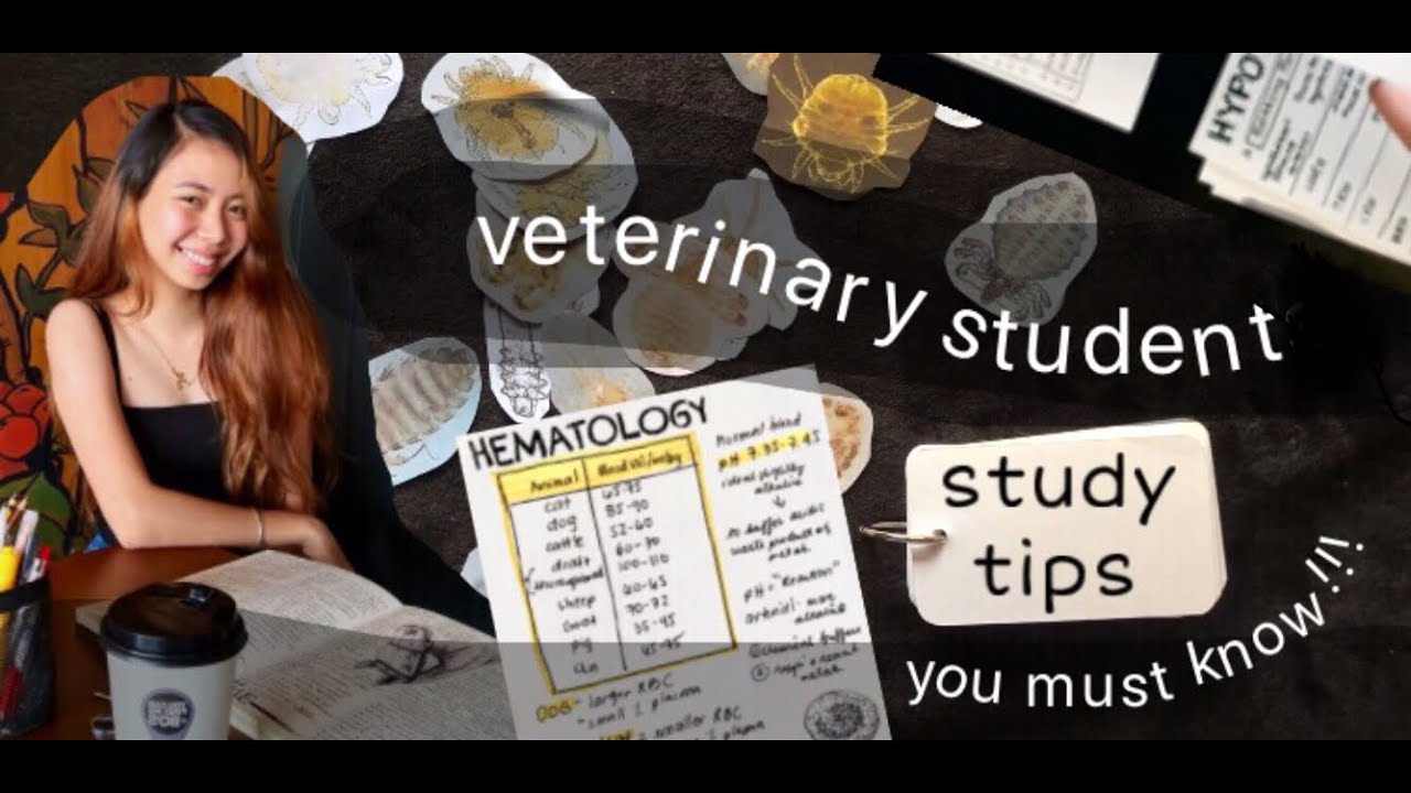 VET MED STUDENT STUDY TIPS