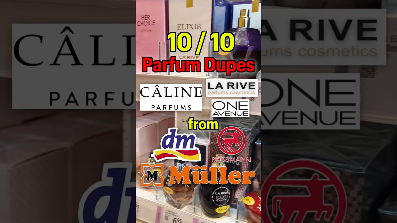 10/10 PARFUM DUPES von LA RIVE, CALINE & ONE AVENUE!!🤑