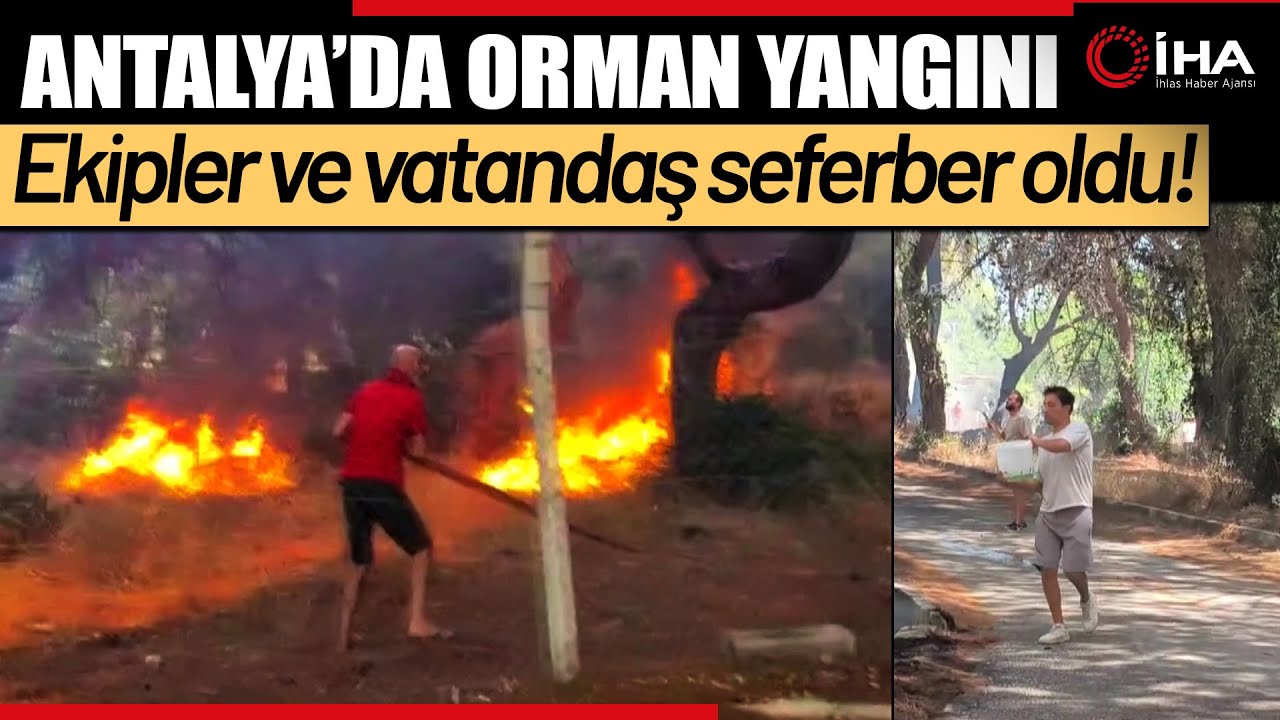 Antalya'da orman yangını: Kovalarla su taşıdılar