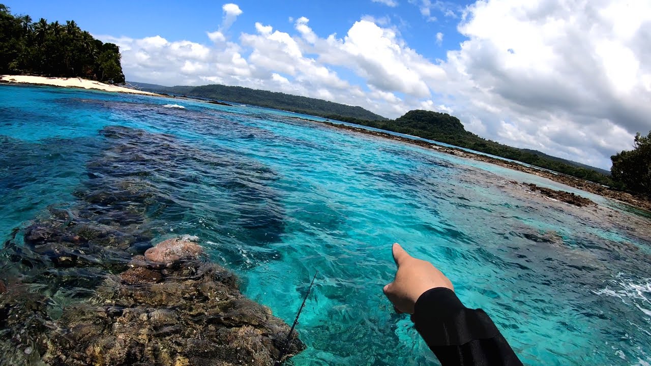 Fishing difficulty level 99 (Espiritu Santo Part 2)