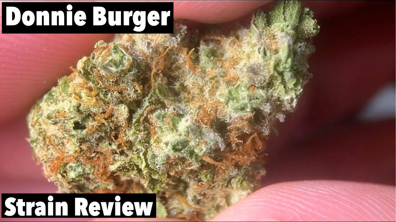 Donnie Burger Weed (Обзор сорта)