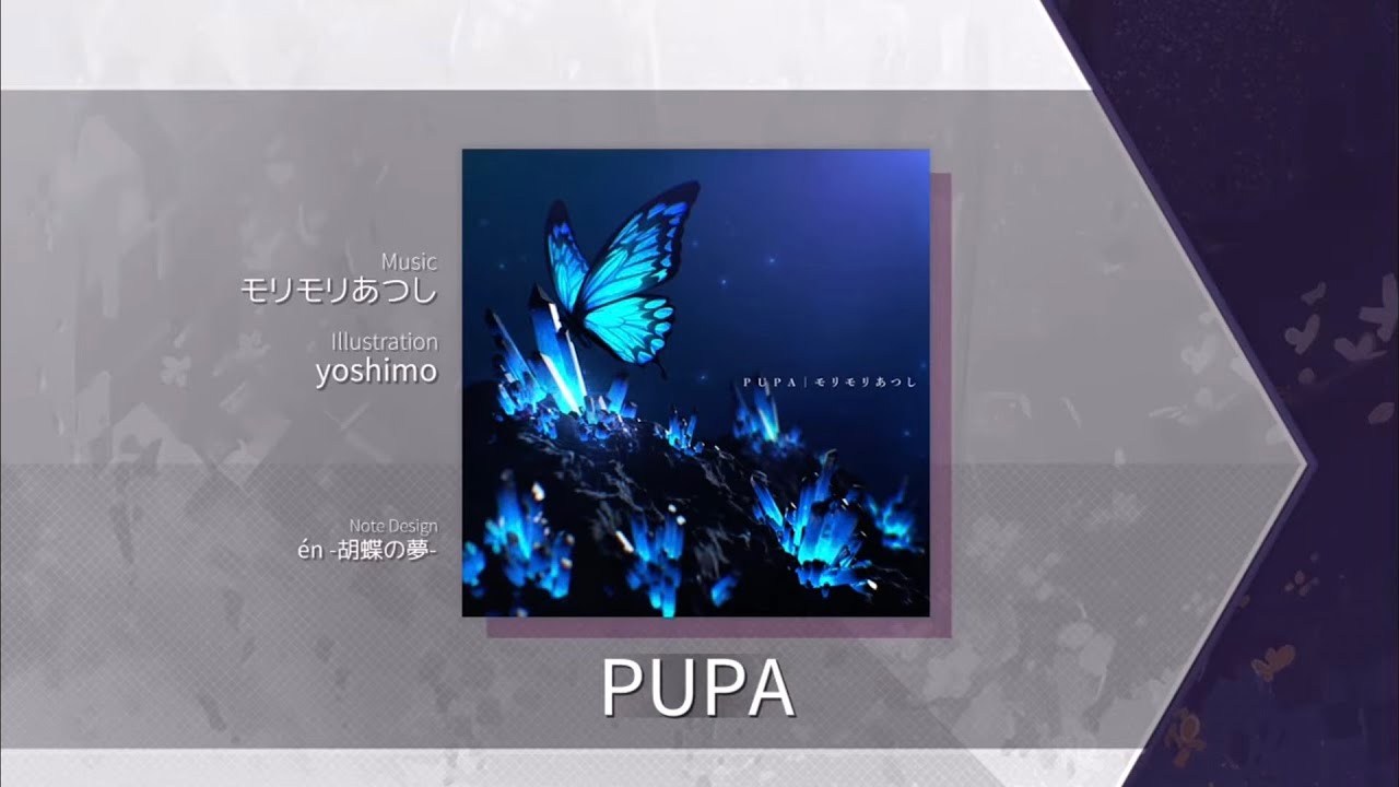 【Arcaea】 PUPA [Future 10] Chart View