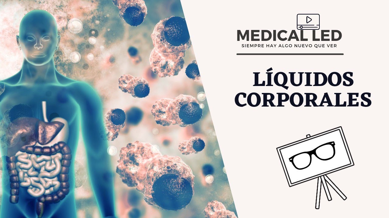 FISIOLOGÍA DE LÍQUIDOS CORPORALES 1: Líquido intracelular y extracelular, osmolaridad y tonicidad