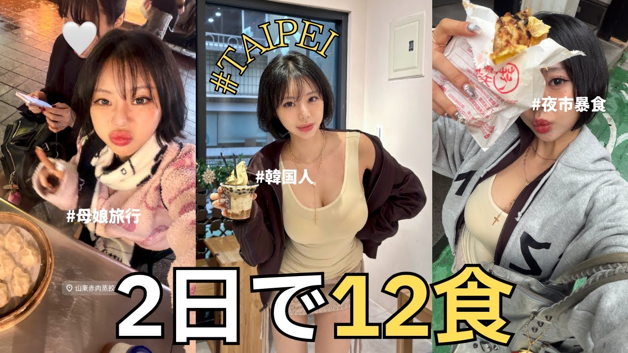 【韓国人母娘旅行】TAIPEIで2日間12食…日本語だけで食べ倒しVlog