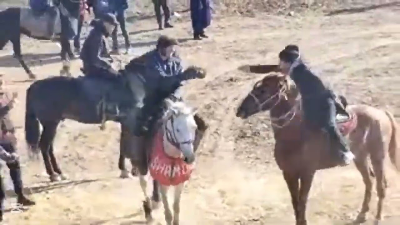 SAMARQAND URGUT KO'PKARISIDAN lavhalar 