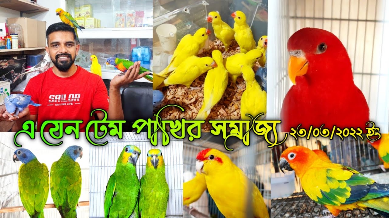 Aahil pet Shop | এ যেন টেম পাখির সাম্রাজ্য | Most Expensive Bird Collection | চমৎকার সব পাখির সমারহো