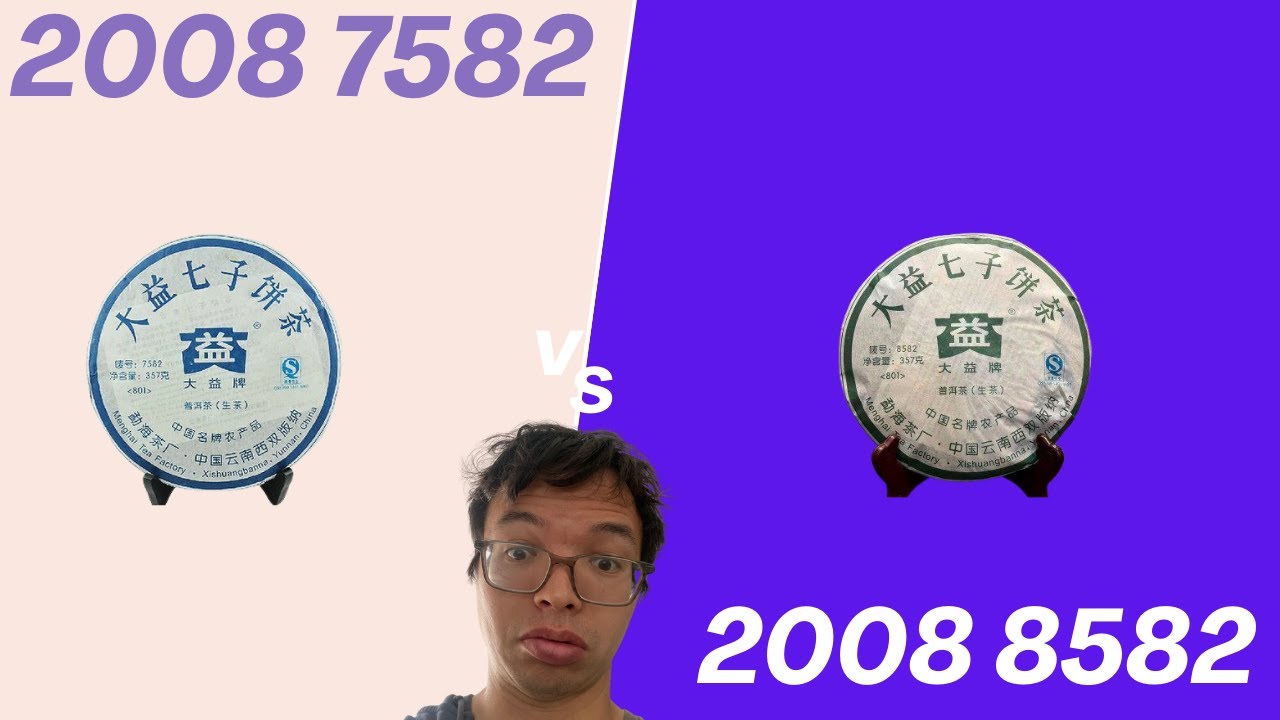 Dayi Showdown! 2008 Dayi 8582 vs. 2008 Dayi 7582! [Inbetweenisode 451]
