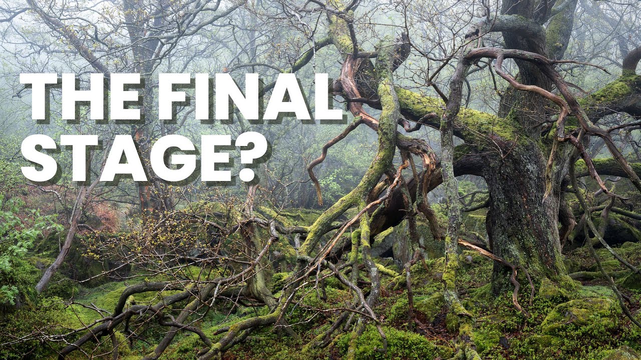 The Final Stage in Photography? (feat. Joe Cornish)