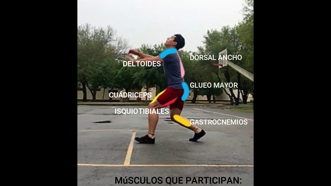 Análisis biomecánico del remate en voleibol