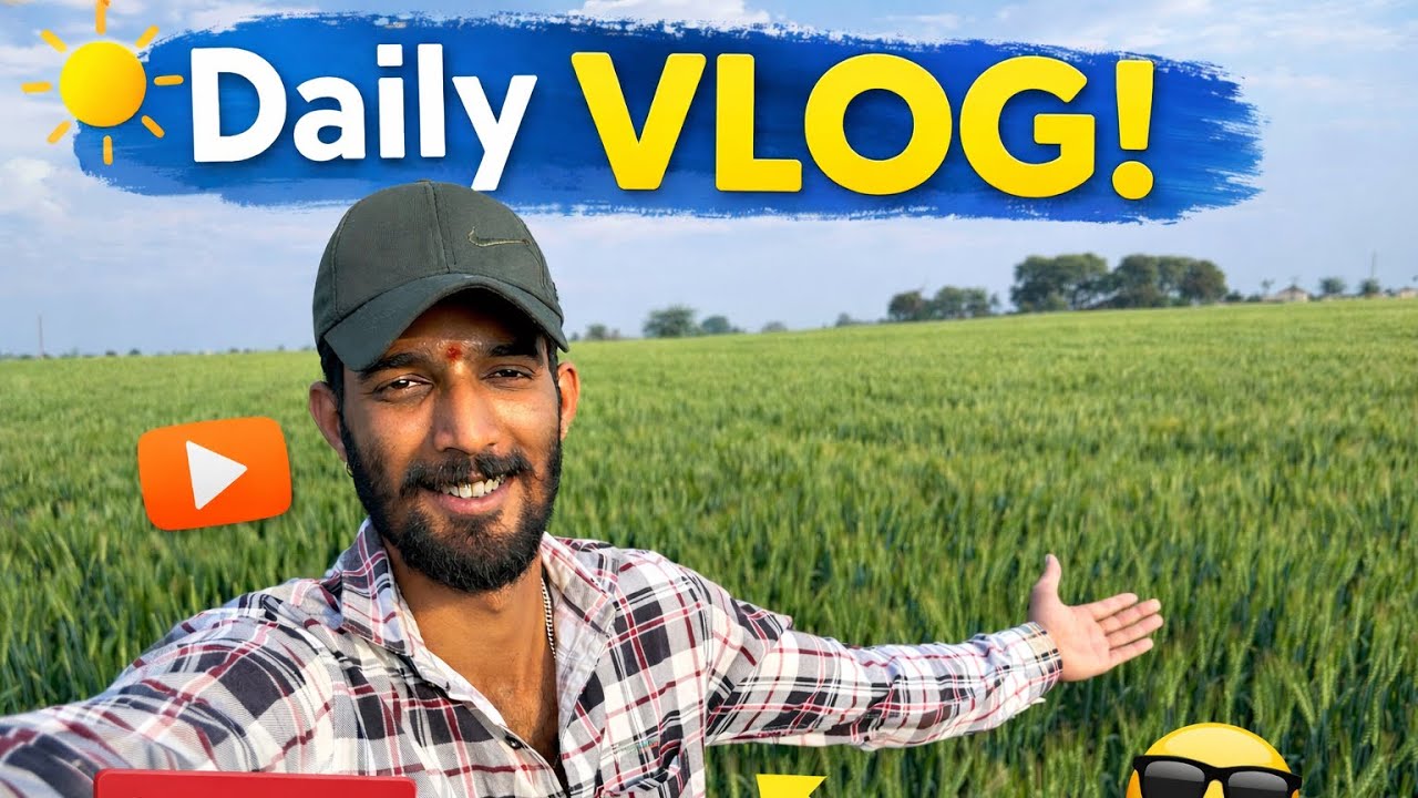 Daily Vlog-  chane ke khet me Dvai #minivlog #dailyvideo #vlog 
