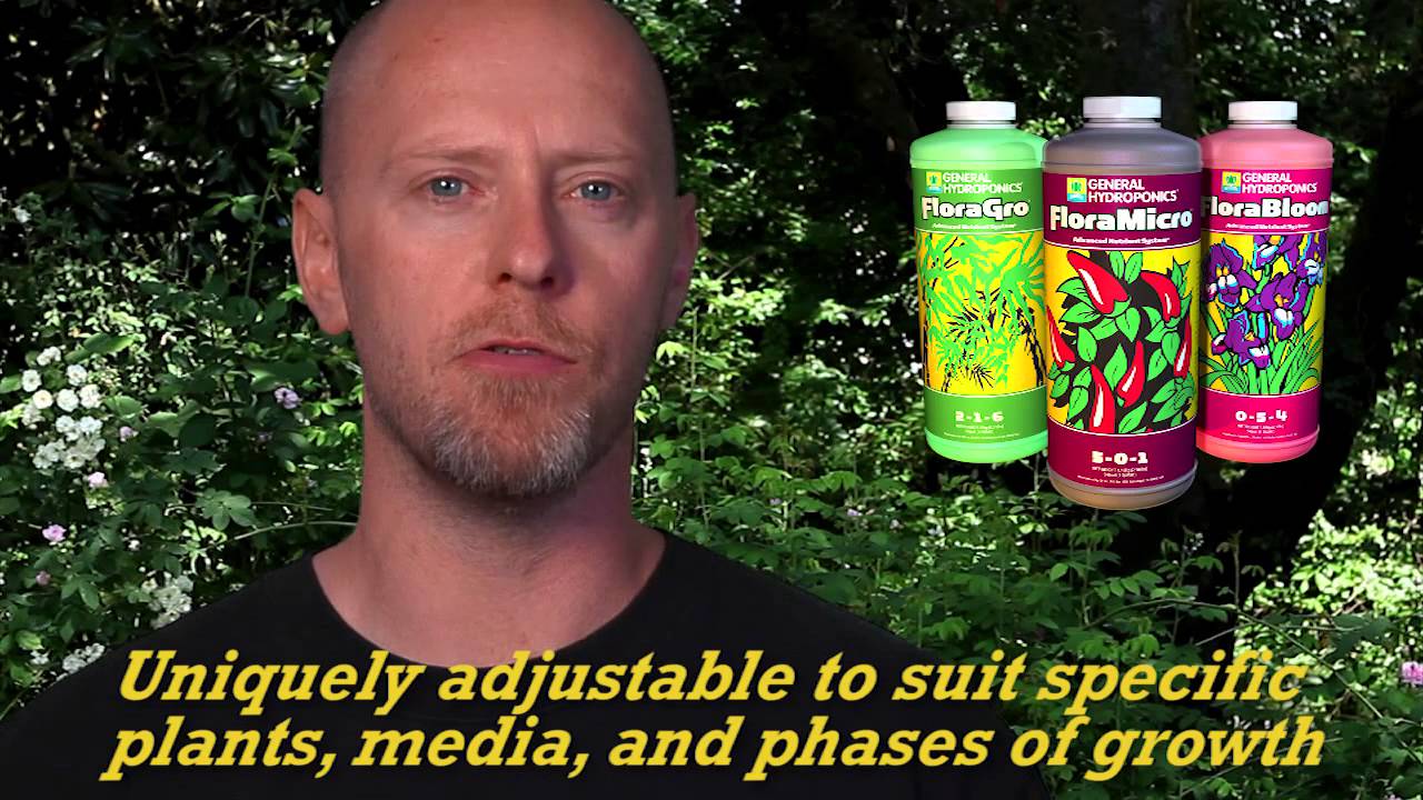 FloraSeries