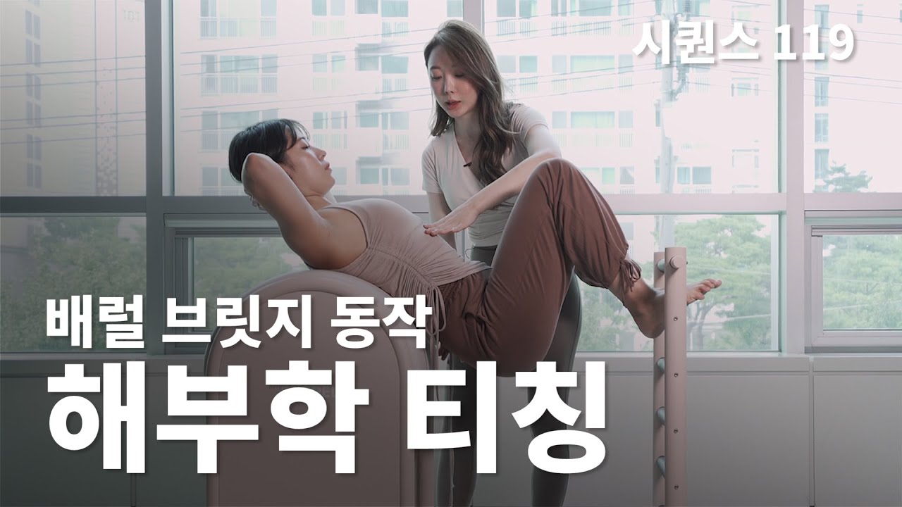 필라테스 시퀀스 티칭 '배럴 브릿지 동작' (feat. 코어필라테스협회)