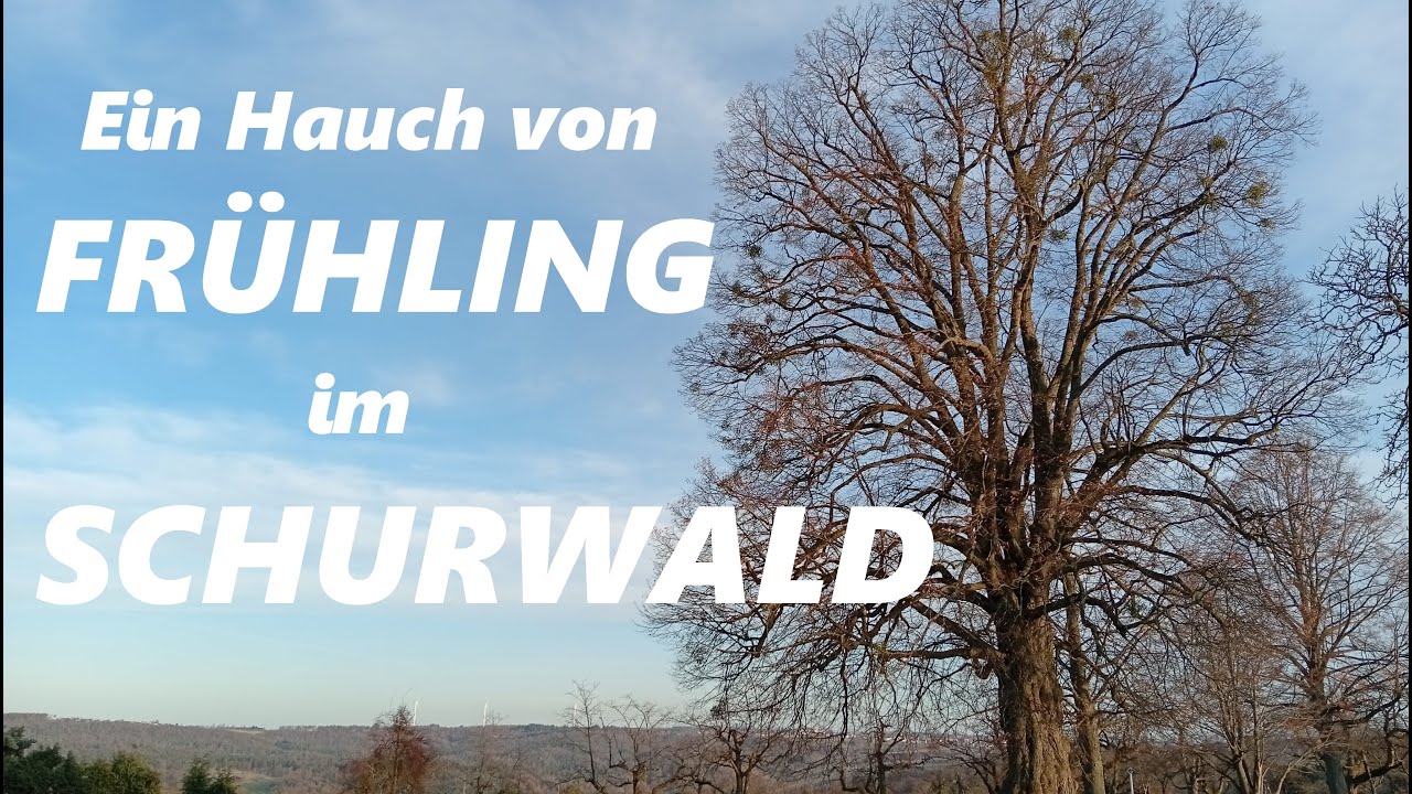 Frühlingshauch Remstal Schurwald im Januar 2026