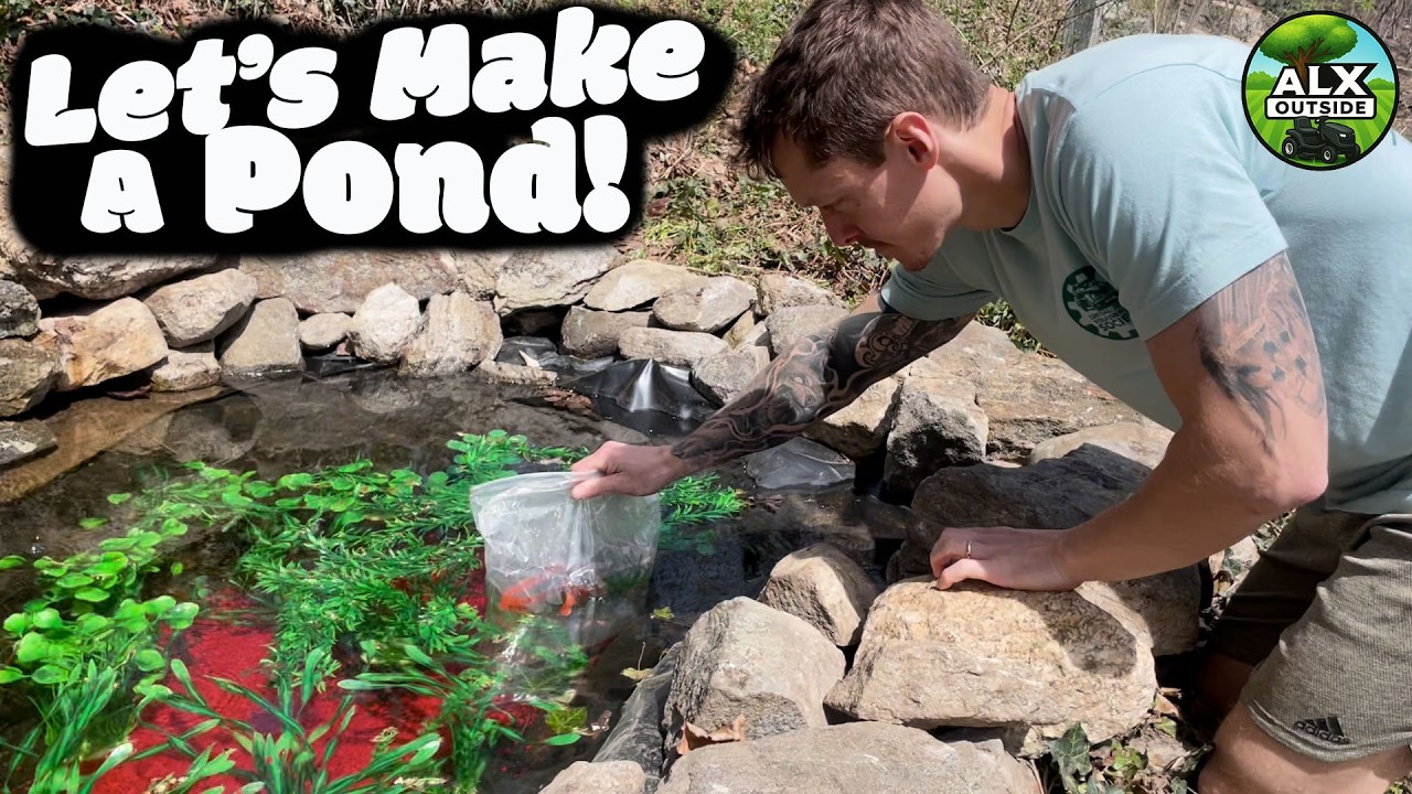 Let's Build A Pond! Free Water!?