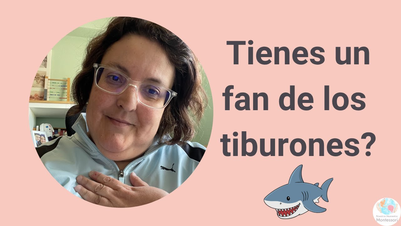 DIRECTO - Materiales para enseñar sobre tiburones, modelo anatómico de la rana y más