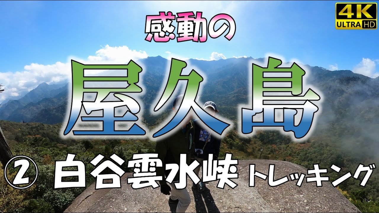 【感動の屋久島】②白谷雲水峡トレッキング 🌳 苔のむす森を歩く！太鼓岩では見渡す限りの絶景を堪能！　#屋久島 #縄文杉 #世界遺産 #白谷雲水峡