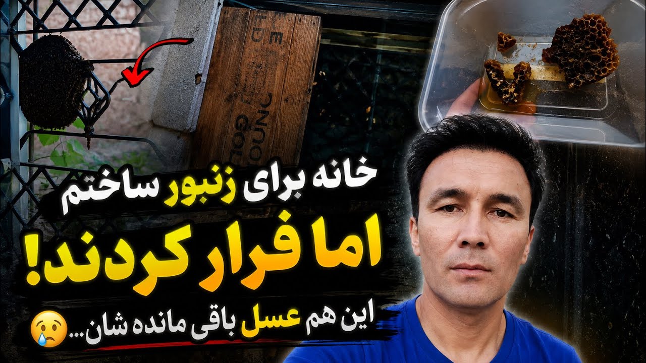     خانه جدید برای زنبورها ساختم، اما این اتفاق افتاد! 😳🐝