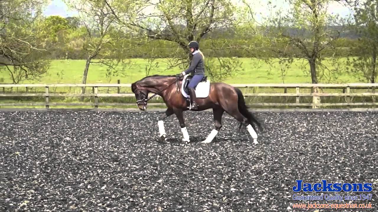 Hannah Biggs - How to Teach the Extended Walk | Jacksons Fencing