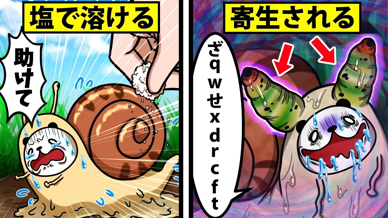 【アニメ】カタツムリになるとどうなるのか？