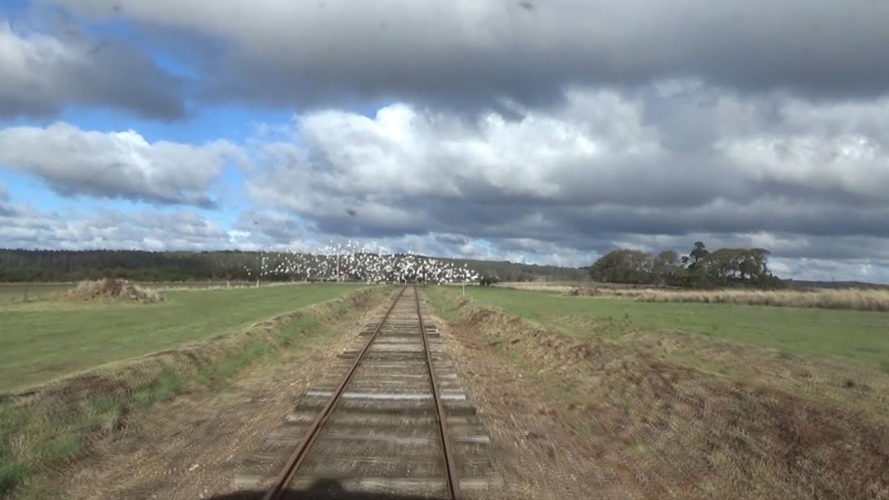 【前面展望】オーストラリア保存鉄道Daylesford Spa Country Railwayデイルズフォード～マスク往復