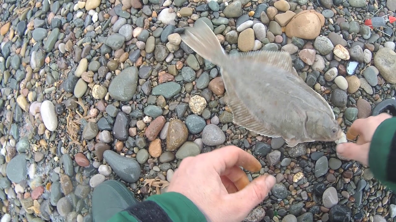 fishing cleveleys 5 bar gate