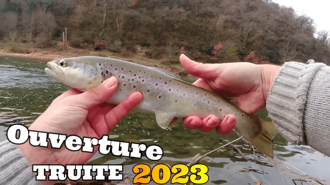 Ouverture Truite2023: Il Faut Tout Essayer!!! (Rivière Tarn et Sioule)