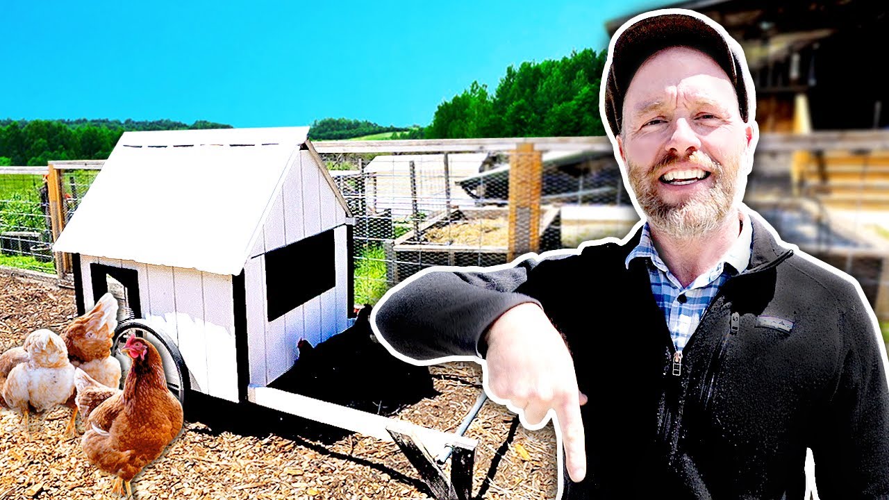 Finally a Chicken Run NO ONE Can ESCAPE