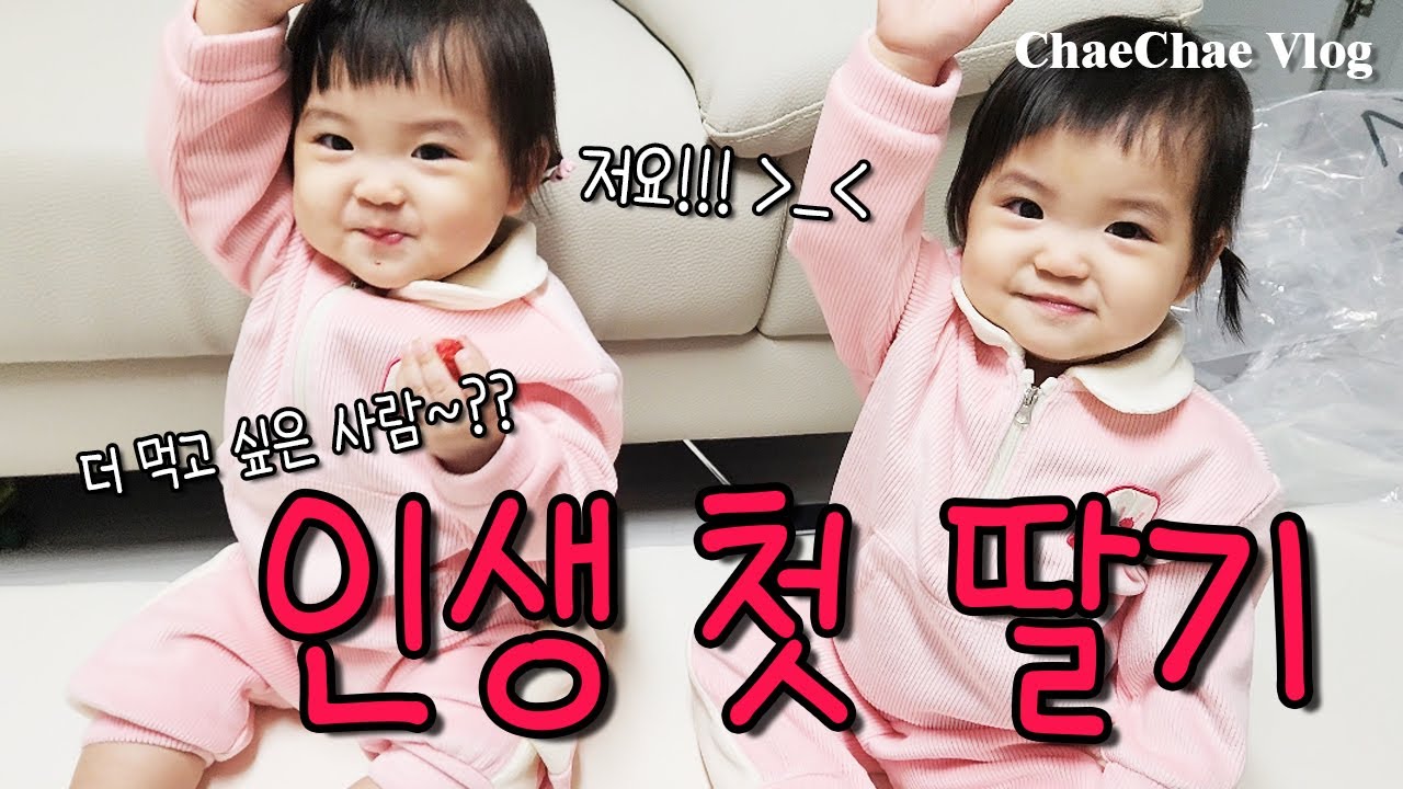 [VLOG] 인생 첫 딸기 l 비눗방울놀이 l 스프링카 l 브이로그 l #귀여운아기 #쌍둥이 #쌍둥이자매 #육아브이로그 #아기브이로그 #용띠아기 #용띠맘