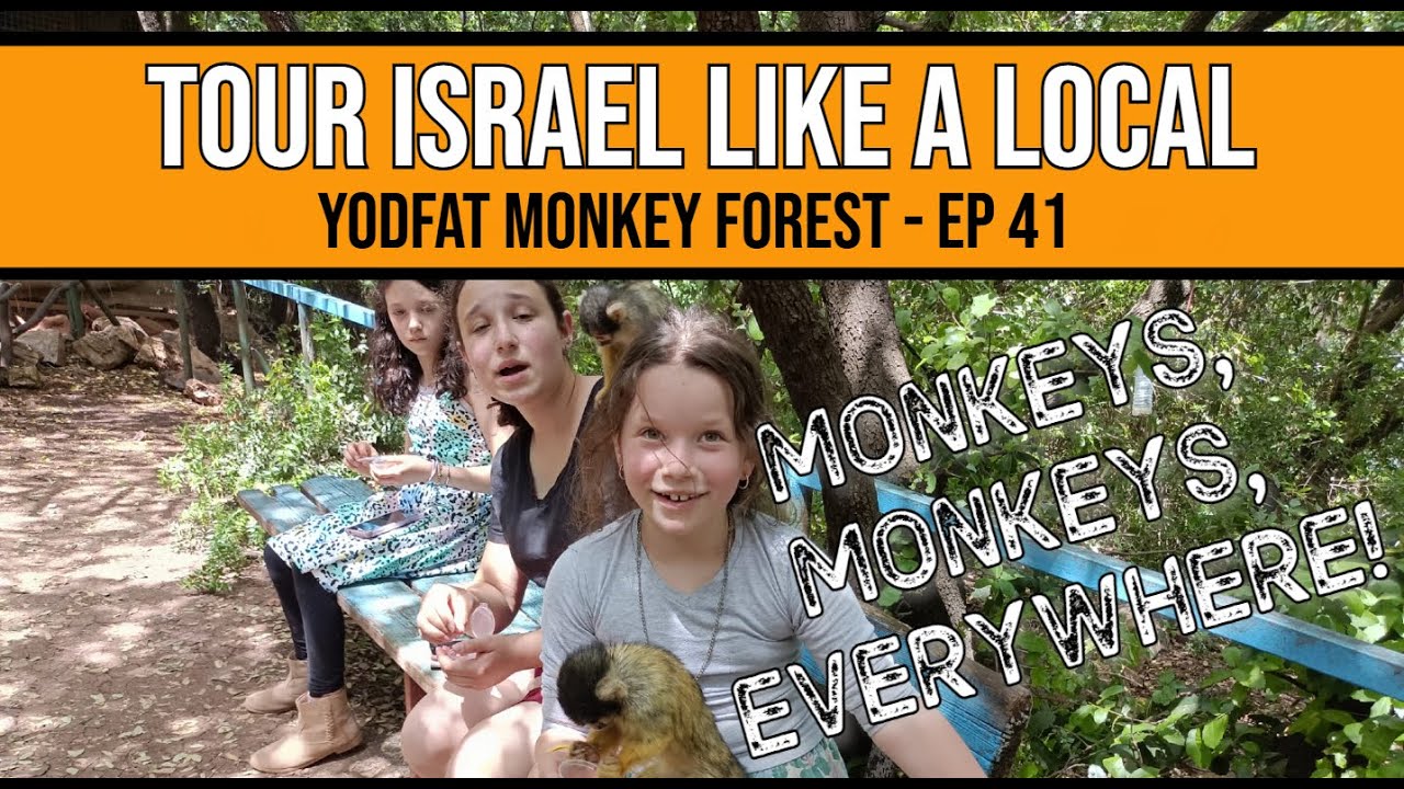 We Found a Monkey Jungle in the North of Israel! - Ep41 #041