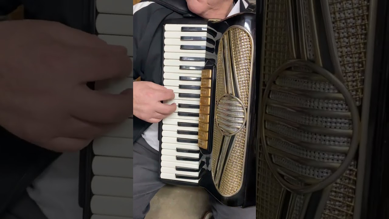 Akordeon Hohner Verdi VN Musette , Schnee Waltz Tirol