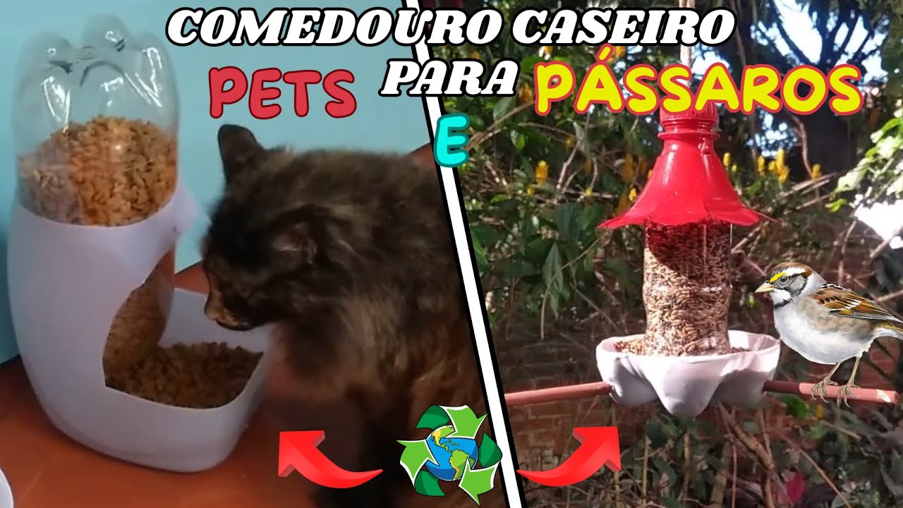 🐾Comedouro Caseiro para seus Pets – Fácil e Econômico!🐦#comedouroparapets#comedourocaseiro