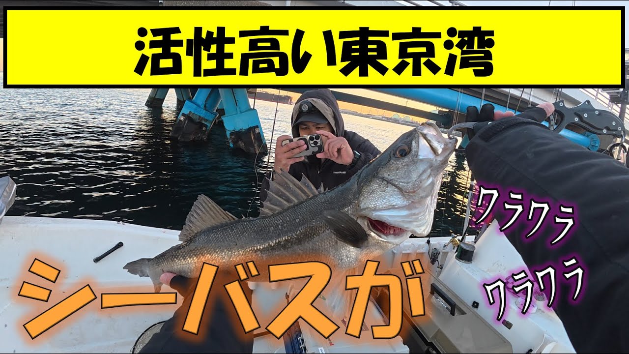 【東京湾】シーバス穴撃ちでランカー続出？！