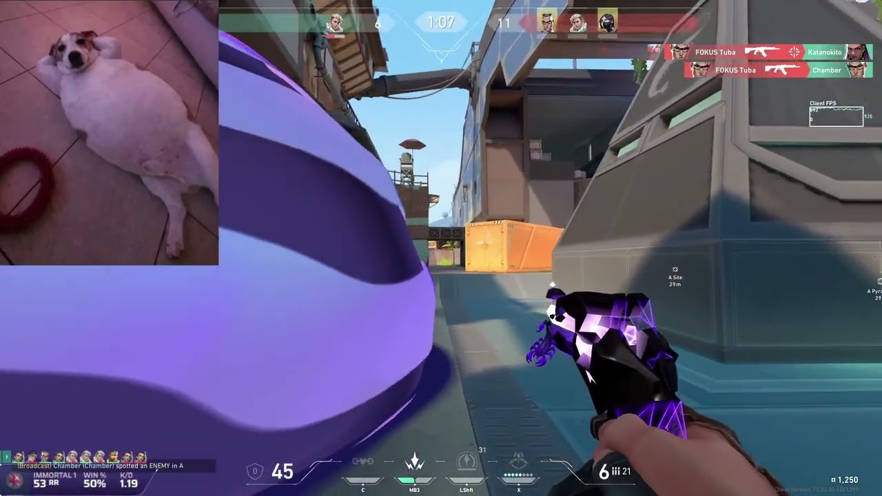 I swear to god if he´s fkn fl