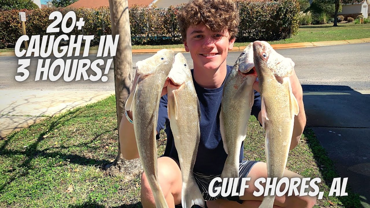 Hammering BIG Whiting in Gulf Shores, AL! (Catch and Cook)