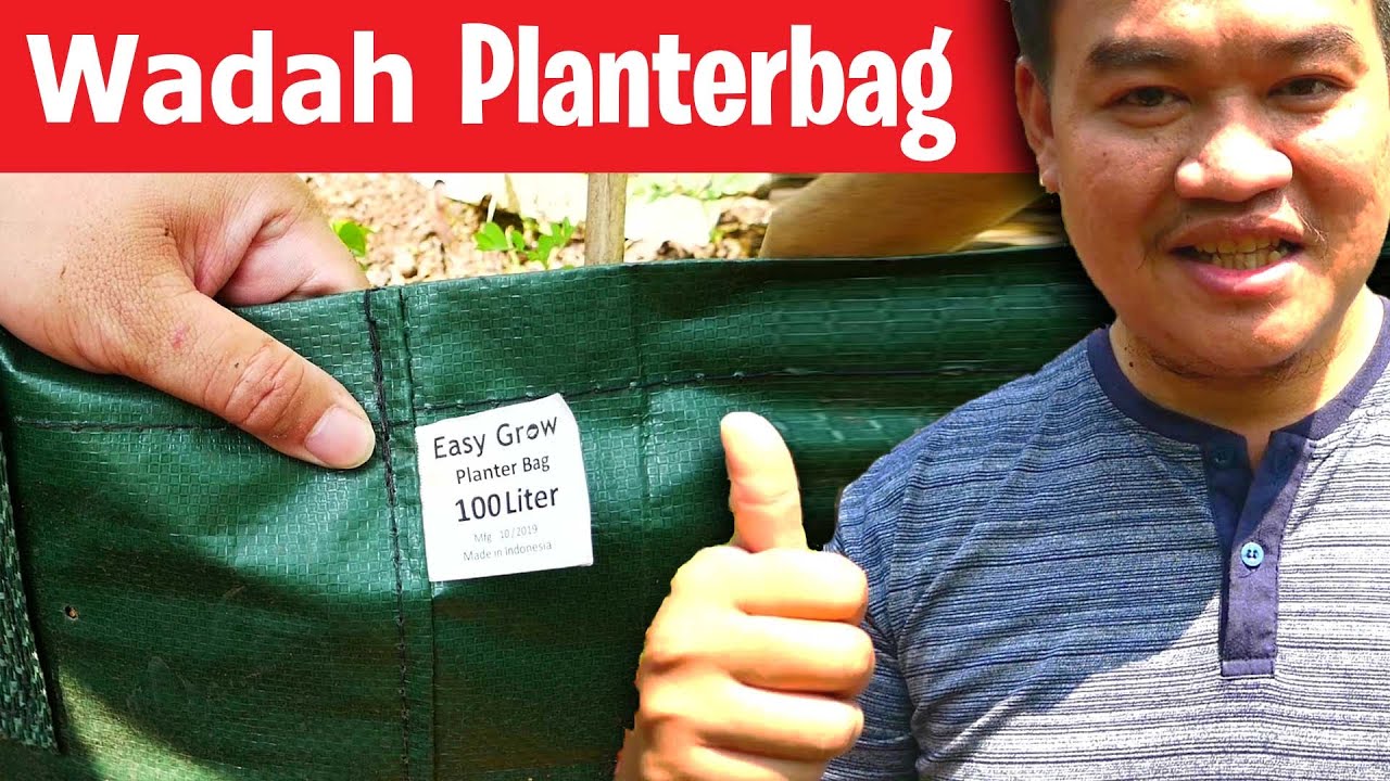Pertimbangan Planterbag Untuk Tanaman Buah