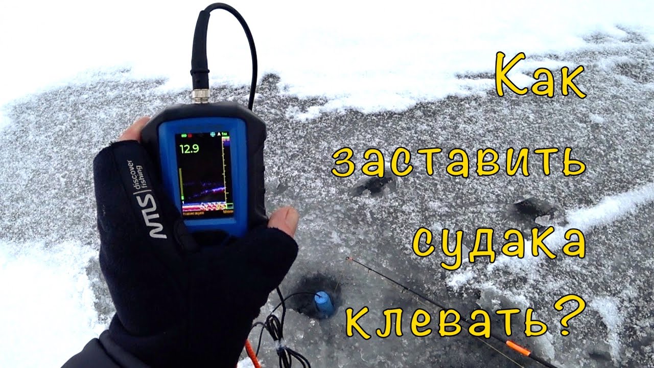 Купил ЗИМНИЙ ЭХОЛОТ. Теперь одни вопросы.