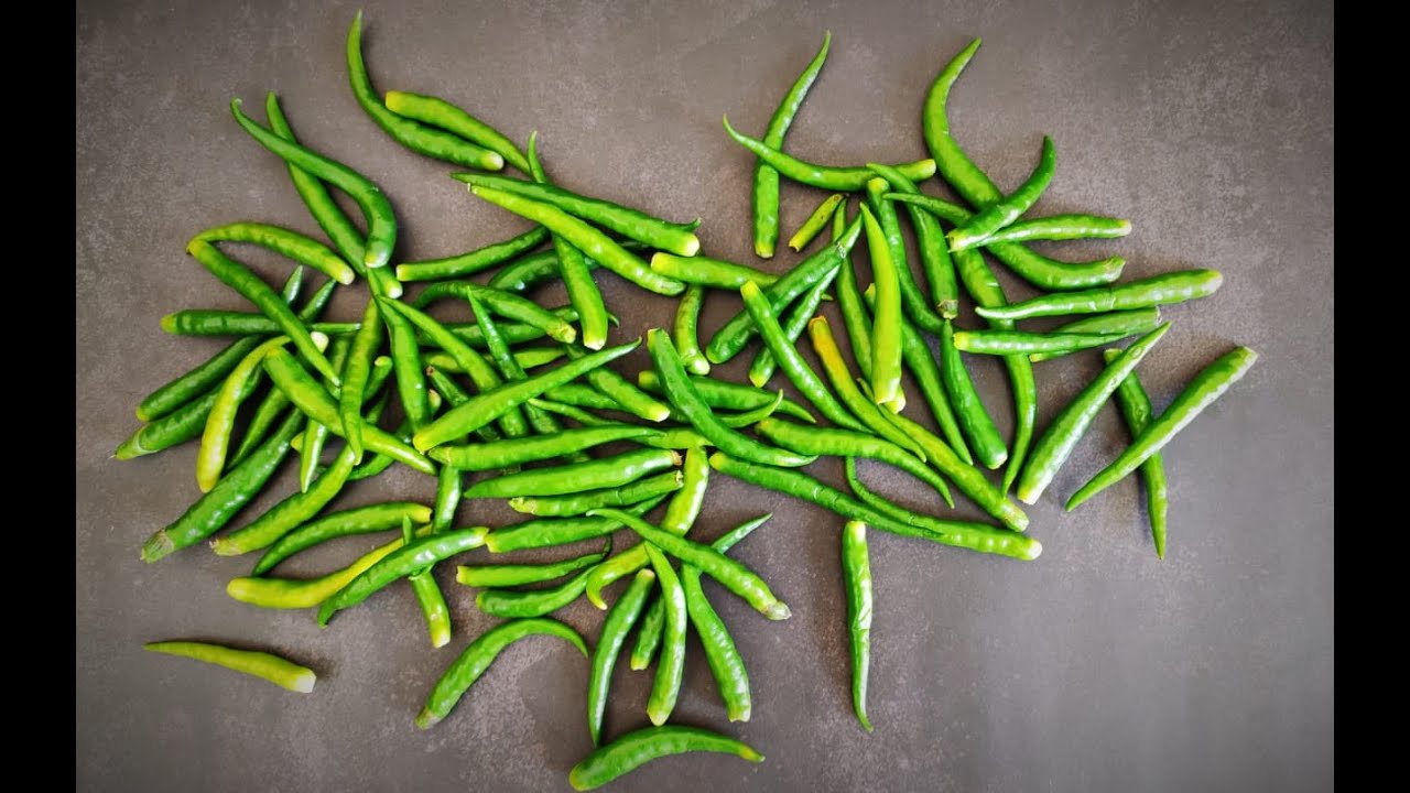 kitchen tips- to store green chilies | How to keep green chili fresh for long by The secret chef