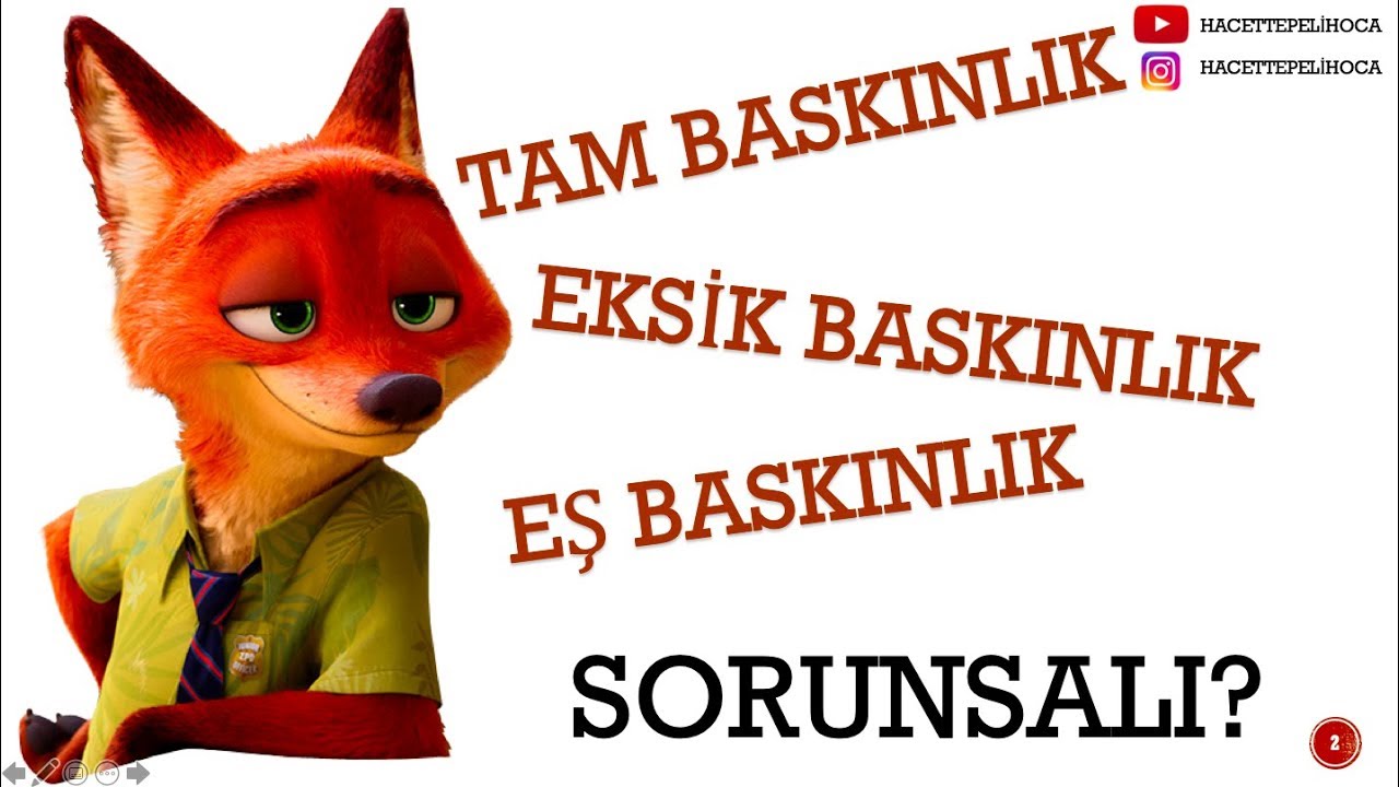 102 | KALITIM 7 | TAM, EŞİ EKSİK BASKINLIK NEDİR? | 10. SINIF | TYT | #hacettepelihoca