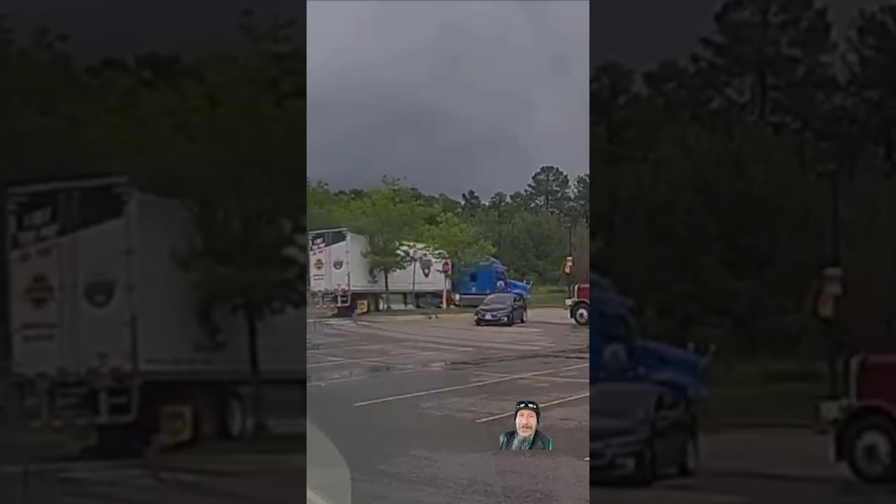 Truck vs tree and stop sign #truck #education #educational #lorax