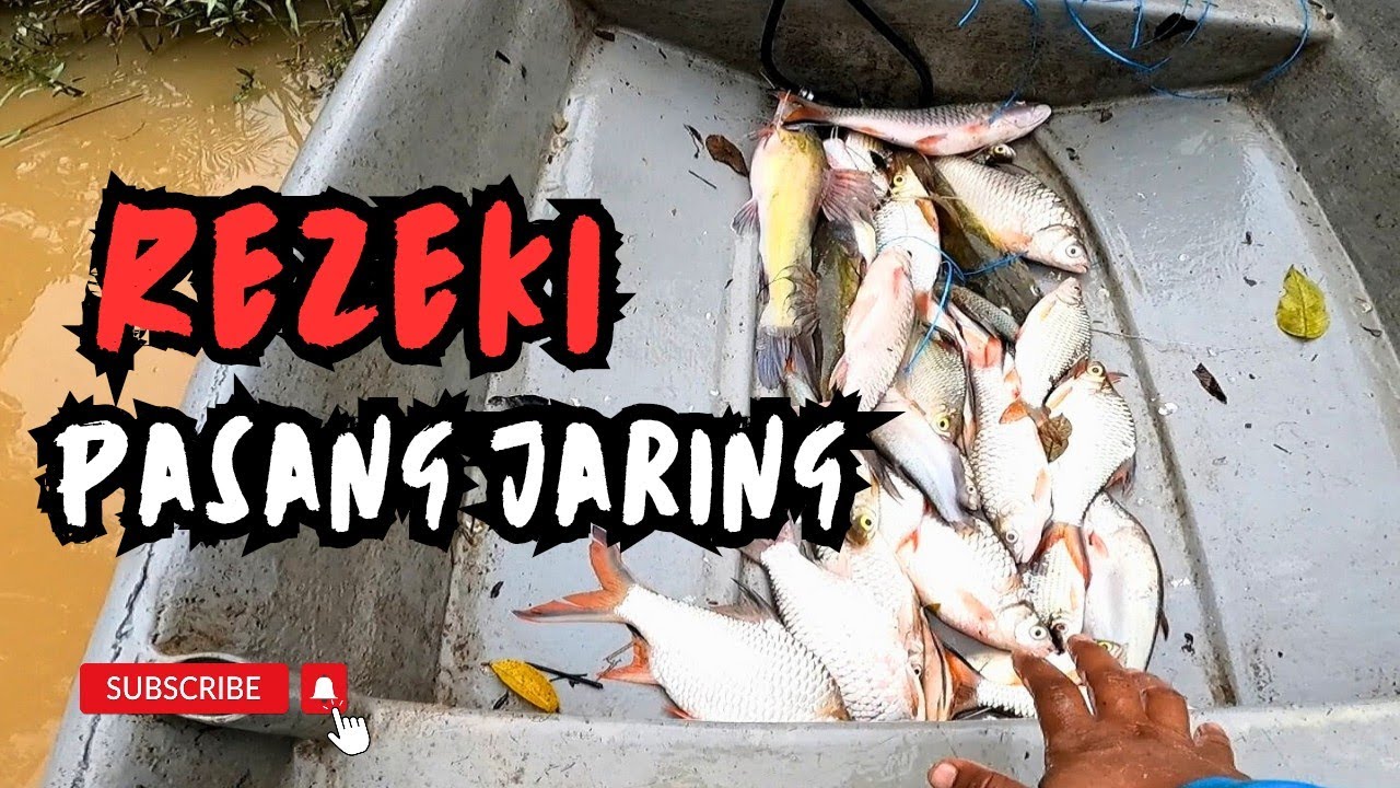 REZEKI PASANG JARING #vlog183 #unlimitedhobby #unlimitedfishing 