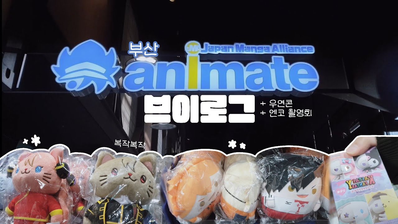 【브이로그】 부산 애니메이트