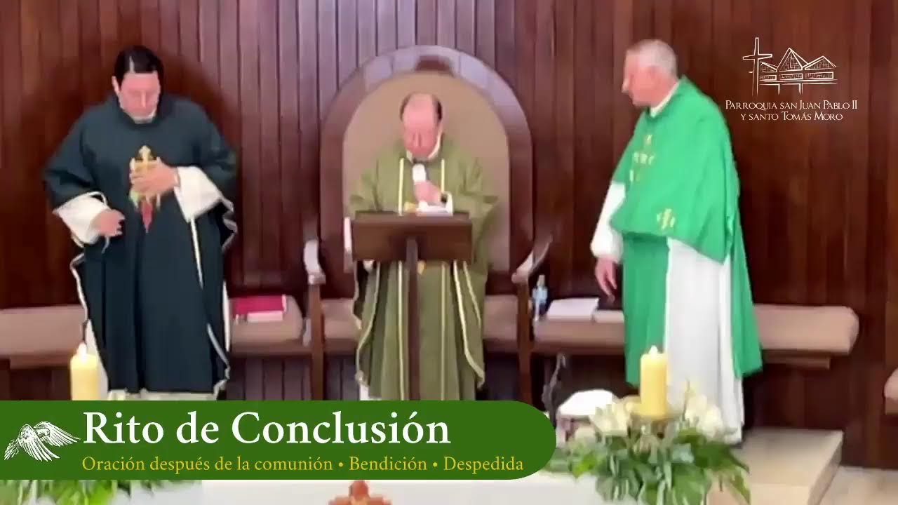 VI Domingo  T.O.  •  15 de febrero de 2026