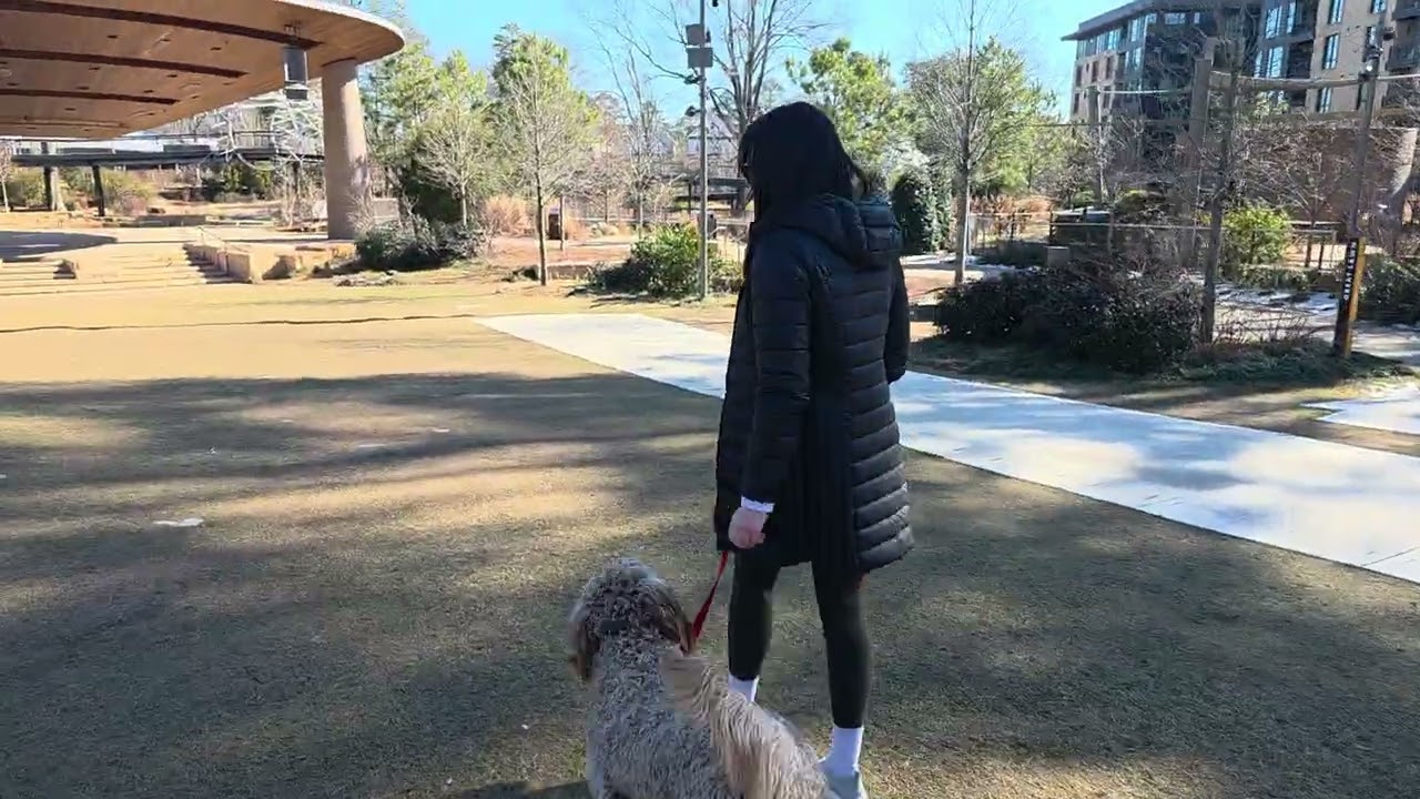 Marshall at Downtown cary park